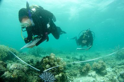 Australia pledges $704 million to save Great Barrier Reef