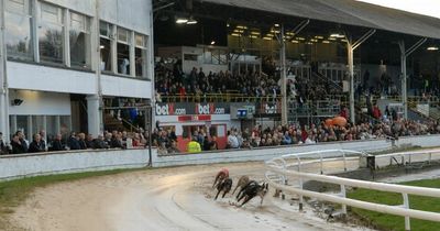 Fifteen greyhounds die at Lanarkshire dog track in just three years