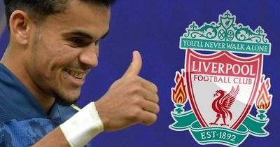 Liverpool squad numbers available for Luis Diaz and other January signings