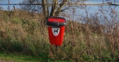 Man who refused to pick up his dog's faeces outside neighbour's home taken to court