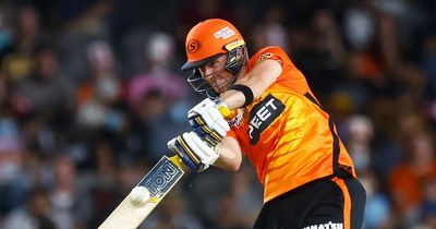 England T20 World Cup outsider Laurie Evans hits 76 in BBL final as Perth Scorchers win