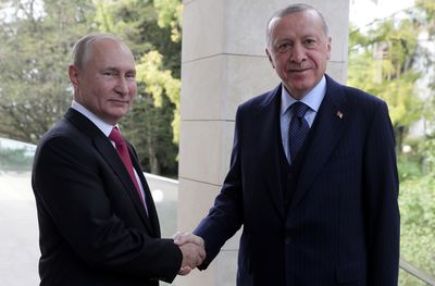 Why is Turkey trying to mediate the Ukraine-Russia crisis?