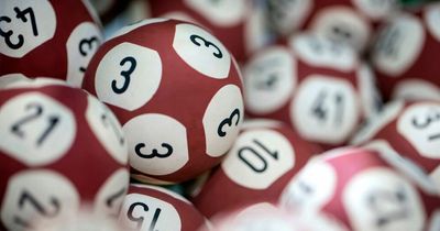 We checked how incredible 149 Lotto players were one number away from €19m jackpot and found interesting answer