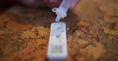 Coronavirus infection rates, cases and deaths for all parts of Wales on Friday, January 28