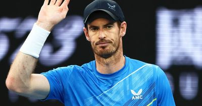 Tennis star Andy aces it in celebrity search study
