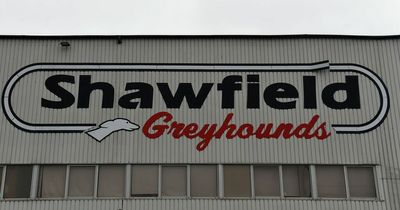 Death of 15 greyhound dogs sparks campaign to close Shawfield Stadium