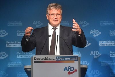 Co-leader leaves far-right Alternative for Germany party