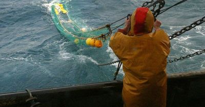 Worldwide audience all saying the same thing as Irish fishermen go international