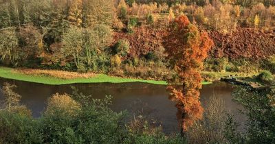 Police investigating after man caught performing sex act in popular Swansea park