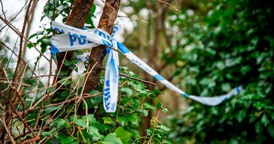 Plea to help find final movements of two teenagers found dead in nature reserve