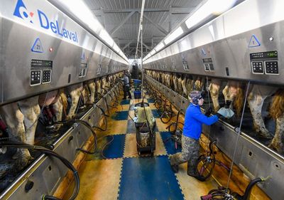 Farmers alarmed as NY looks at expanded OT for their workers