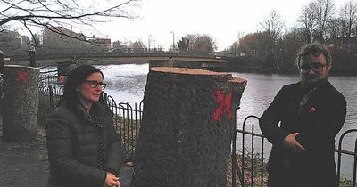 The Earth's Corr: Leave our trees alone