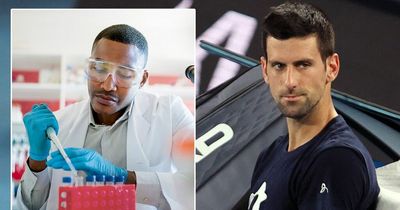 Novak Djokovic doubts raised over positive Covid test timing before Australian Open chaos