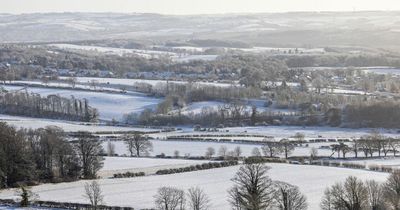 Weather forecast in your area: Snow and cold snaps coming up where you live