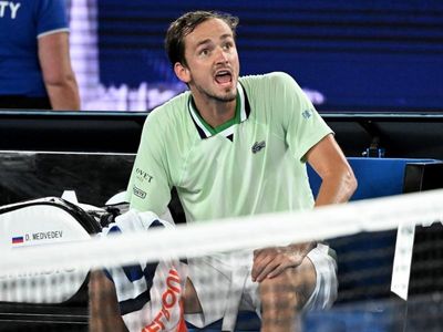 'Insanely crazy' Medvedev work in progress