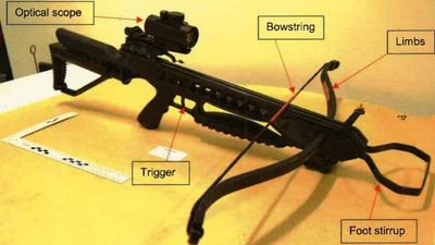 Crossbow attacker given hospital order after shooting and injuring two people