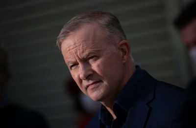 Labor’s lone wolf: Anthony Albanese embarks on the fight of his life