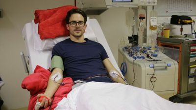 British Leukemia Patient Finds Rare Match In Austrian Stem-Cell Donor