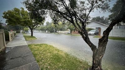 SES continues clean-up as wild weather recedes from parts of Victoria