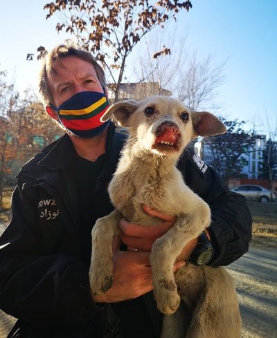 Nowzad founder believes Boris Johnson did not intervene in animal evacuation