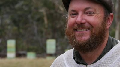 Meet Tasmania's accidental apiarist on a mission to find unusual native honey flavours