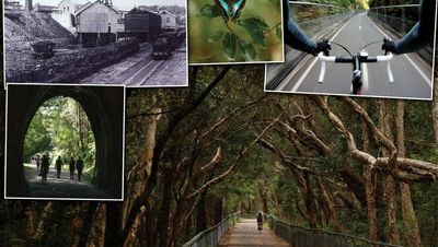 Pedalling into Newcastle's past and soul along the Fernleigh Track