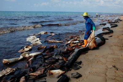 Oil spill reaches shoreline in Rayong
