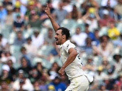 Starc and Gardner claim maiden top gongs