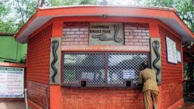 Temples, parks in Chennai see low footfalls on first day of reopening