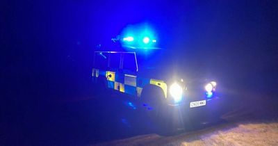 Police retrieve loose horse and stolen vehicle in busy night patrol