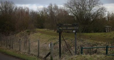 Some of the best nature reserves in Nottinghamshire