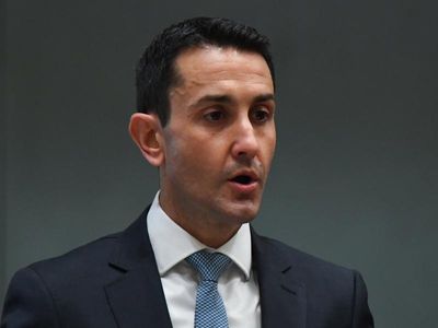 Qld must offer small business support: LNP