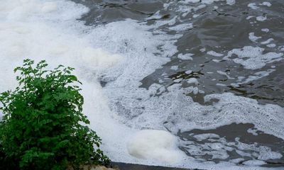 ‘It is desperate’: how Environment Agency staff were silenced as pollution worsened