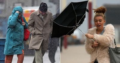 Safety advice for Lanarkshire residents in event of power cut caused by high winds