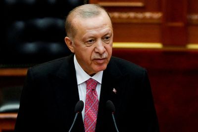 Turkey's Erdogan threatens media with reprisals over 'harmful' content