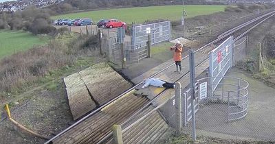 'Wreckless' woman slammed after being caught on CCTV posing for photo on train track