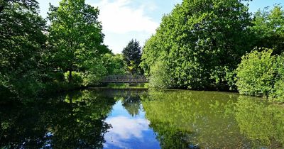 Plans to redevelop part of Birkenhead Park