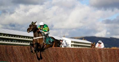 Cheltenham Gold Cup contender Chantry House gives top owner JP McManus 4,000th win