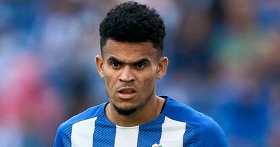 Luis Diaz can fulfil 'dream' of forgotten Liverpool signing who wants to make history