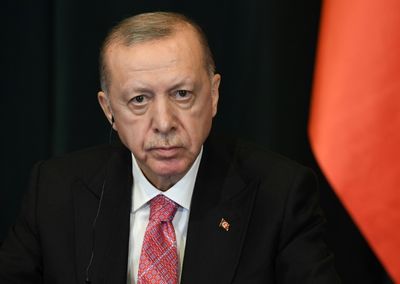 Erdogan threatens to punish Turkish media over 'harmful content'