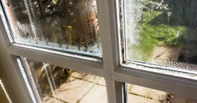 Genius hack that gets rid of condensation within minutes hailed as a gamechanger