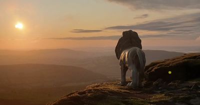 Outrage as historic Welsh farm renamed Hakuna Matata