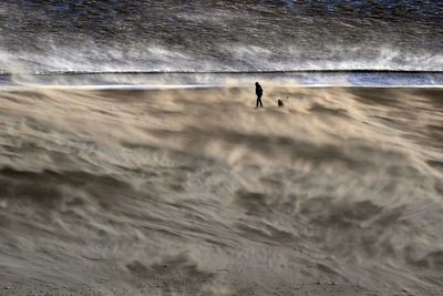 Woman killed by falling tree as Storm Malik batters UK