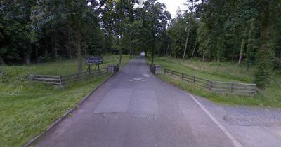 Police respond to reports of man intimidating women at popular Belfast park