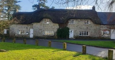 Beautiful thatch cottage for sale in village near Cardiff