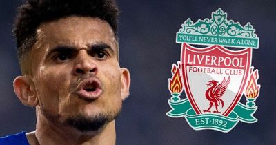 Liverpool £49m deal for Luis Diaz will prove Jurgen Klopp summer transfer comments right