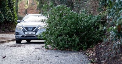 Boy, 9, is second Brit to be crushed to death by falling tree in Storm Malik 80mph winds