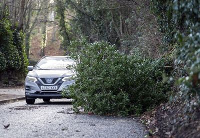 Homeowners ‘living in the dark ages’ after Storm Malik leaves them without power