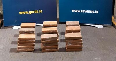 Dublin Port cocaine seizure sees €3.1m of drugs found in refrigeration unit of vehicle