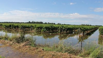 Homes flooded at Rutherglen and Chiltern after storms hit Victoria's north-east